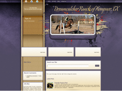 dreamcatcherranchkempnertx.com snapshot