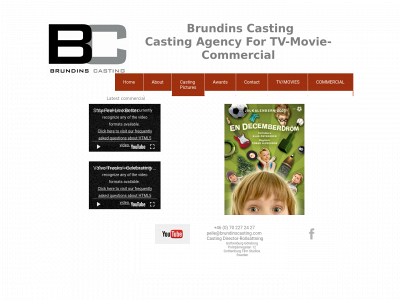 brundinscasting.com snapshot