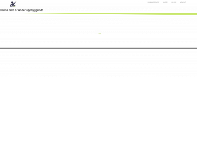 swedenpadelmasters.com snapshot