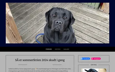 sejlerhunden.dk snapshot