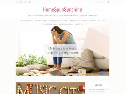 homespunsunshine.com snapshot