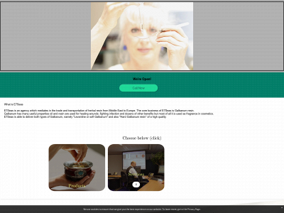 e7seas.com snapshot