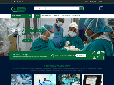 angelo-foundation.com snapshot
