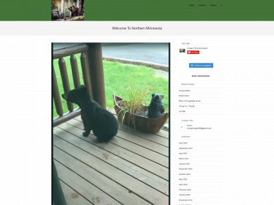 livinginthenorthwoods.com snapshot