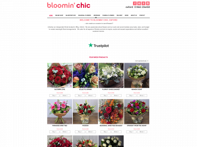 bloominchic.com snapshot