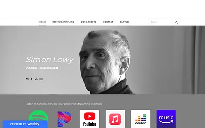 www.simonlowy.com snapshot