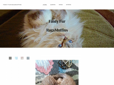 fancyfurmuffins.weebly.com snapshot