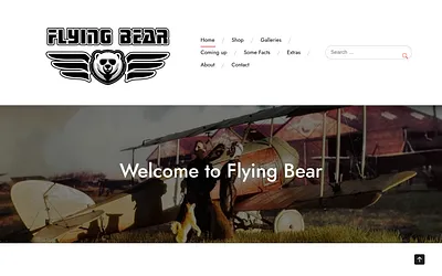 flyingbear.se snapshot