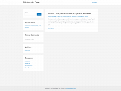 bunionpaincure.com snapshot