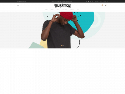 truestrom.com snapshot