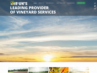 vinecareuk.com snapshot