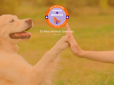 elpasoanimalservices.org snapshot