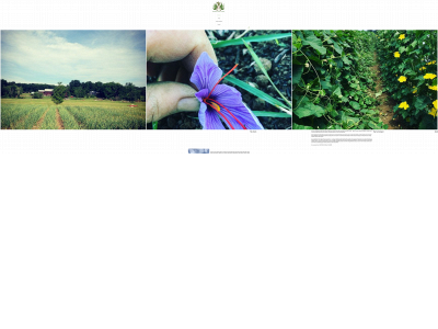 greenowlgarlic.com snapshot