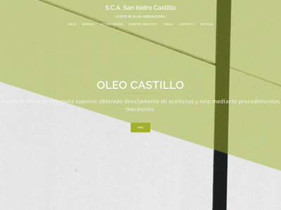 www.sanisidrocastillo.com snapshot