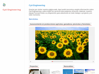 cyaengineering.com snapshot
