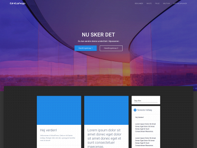 cctgraphic.dk snapshot