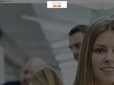 pellagor.com snapshot