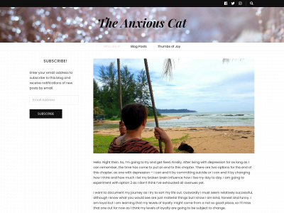 theanxiouscat.com snapshot