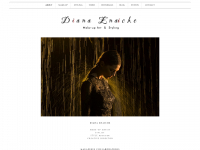 dianaenaiche.com snapshot