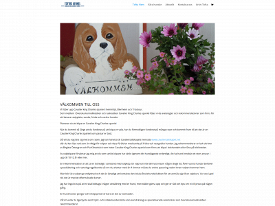 lanitest.se snapshot
