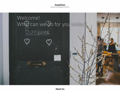 asepkleen.com snapshot