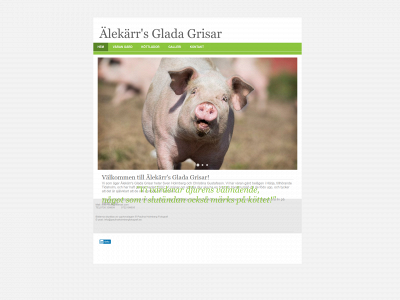 utegrisar.com snapshot