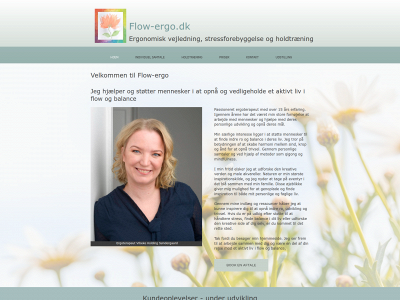 flow-ergo.dk snapshot