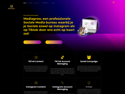 mediagrow.nl snapshot