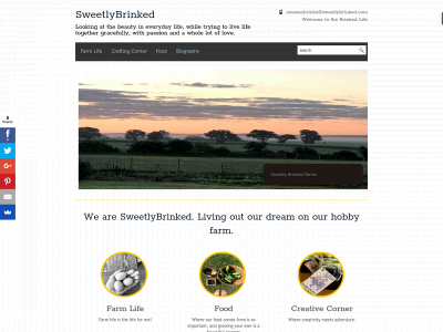 sweetlybrinked.com snapshot
