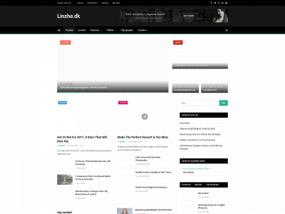 linzhe.dk snapshot