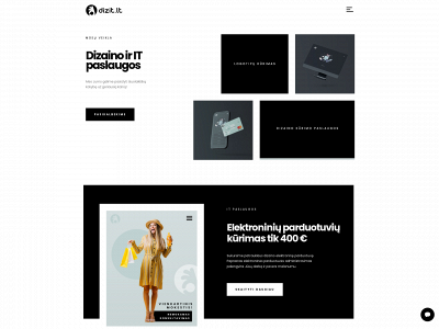 dizit.lt snapshot