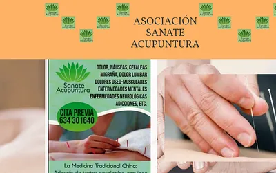 sanateacupuntura.es snapshot