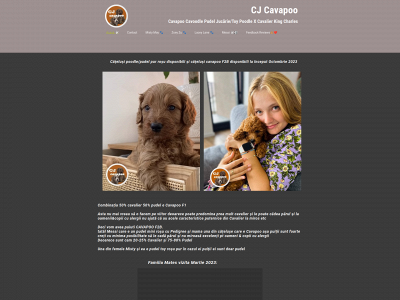 cjcavapoo.com snapshot