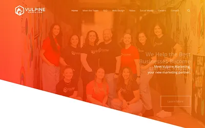 vulpinemarketing.com snapshot