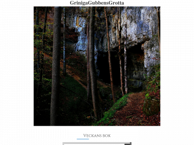 grinigagubbensgrotta.se snapshot