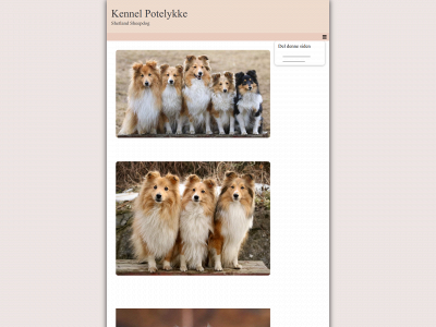 kennelpotelykke.com snapshot