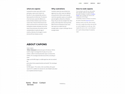 penttivet.com snapshot