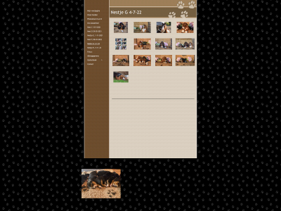 doubledream.nl snapshot