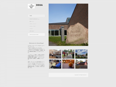 dssa.dk snapshot