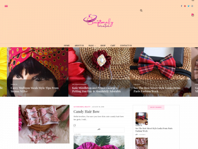 exceptionallycreative.com snapshot