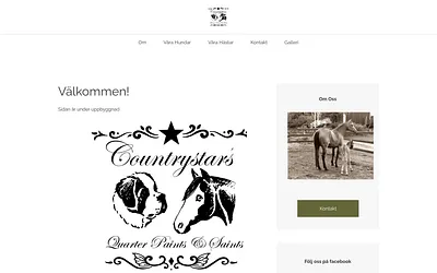 countrystars.se snapshot