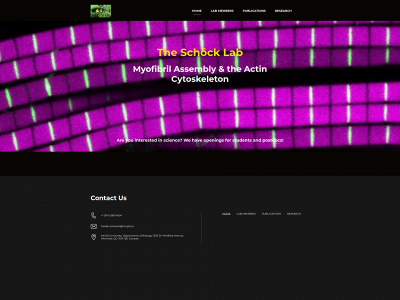 schocklab.ca snapshot