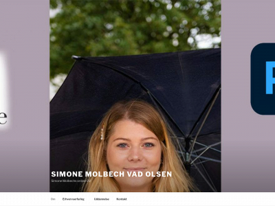 simonemolbech.dk snapshot