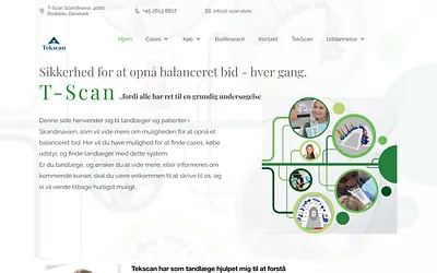 t-scan.store snapshot