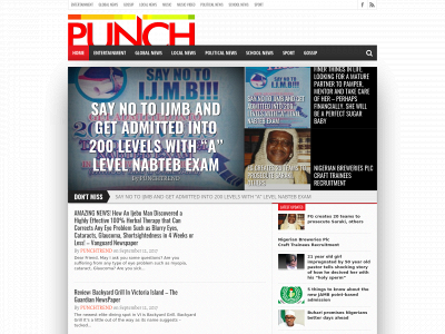 punchtrend.com snapshot