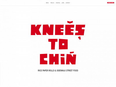 kneestochin.com snapshot