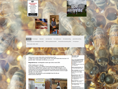 vh-biavl.dk snapshot