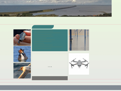 larsmaltha.dk snapshot