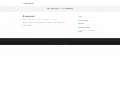 magaychinarro.com snapshot