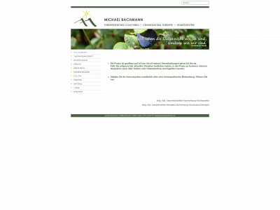 michaelbachmann.ch snapshot